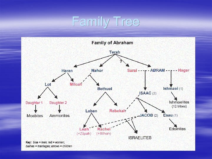 Family Tree 