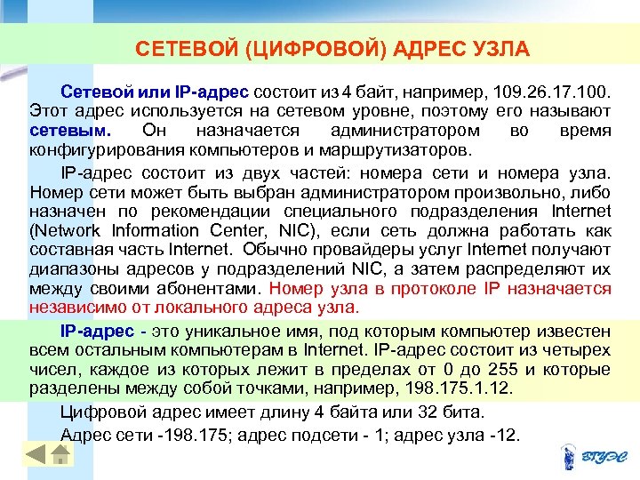 СЕТЕВОЙ (ЦИФРОВОЙ) АДРЕС УЗЛА Сетевой или IP-адрес состоит из 4 байт, например, 109. 26.