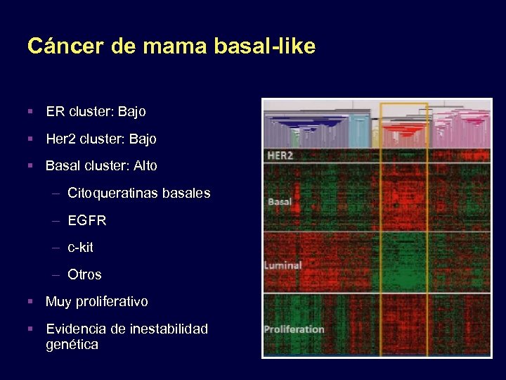 Cáncer de mama basal-like ER cluster: Bajo Her 2 cluster: Bajo Basal cluster: Alto