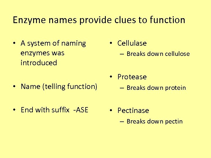 Enzyme names provide clues to function • A system of naming enzymes was introduced