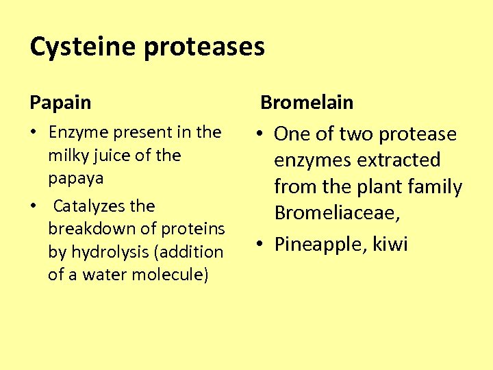 Cysteine proteases Papain • Enzyme present in the milky juice of the papaya •
