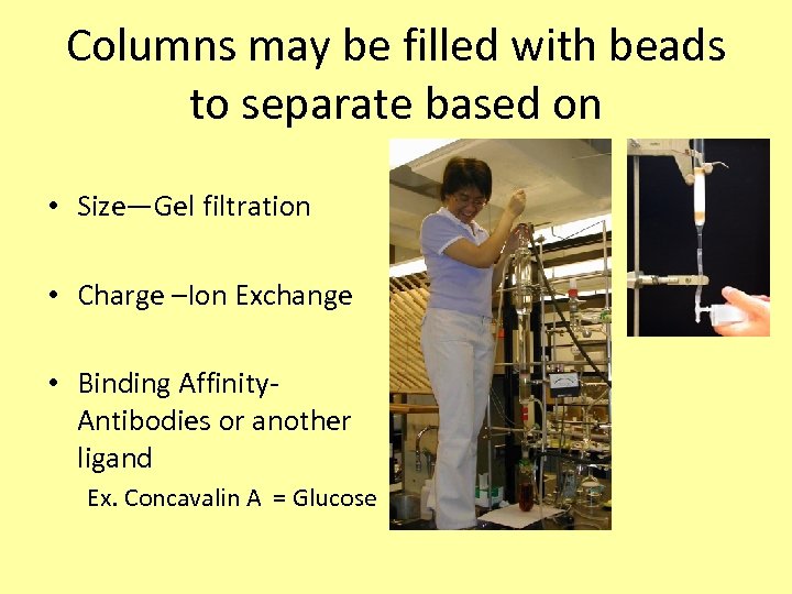 Columns may be filled with beads to separate based on • Size—Gel filtration •