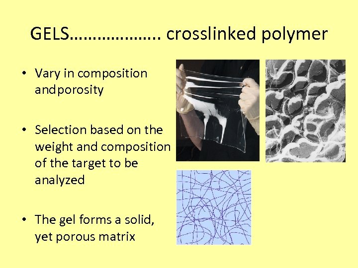 GELS………………. . crosslinked polymer • Vary in composition andporosity • Selection based on the