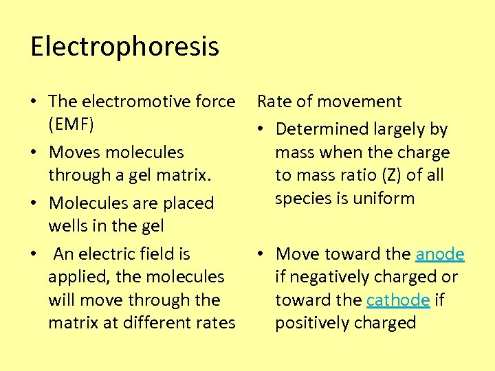 Electrophoresis • The electromotive force Rate of movement (EMF) • Determined largely by •