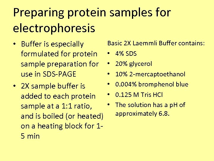 Preparing protein samples for electrophoresis Basic 2 X Laemmli Buffer contains: • Buffer is