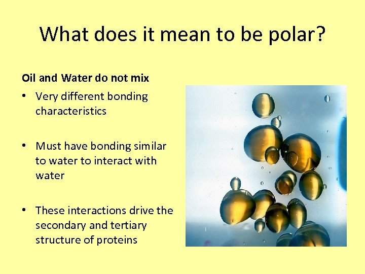 What does it mean to be polar? Oil and Water do not mix •