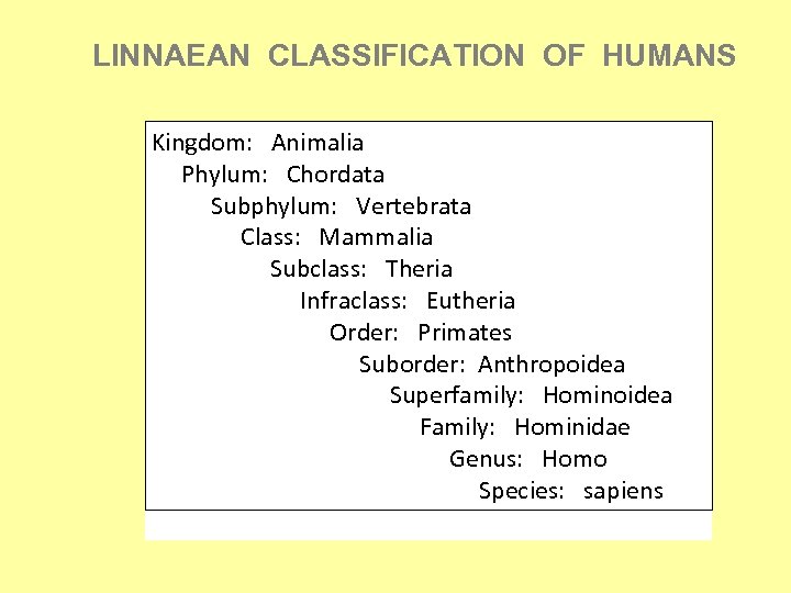 LINNAEAN CLASSIFICATION OF HUMANS Kingdom: Animalia Phylum: Chordata Subphylum: Vertebrata Class: Mammalia Subclass: