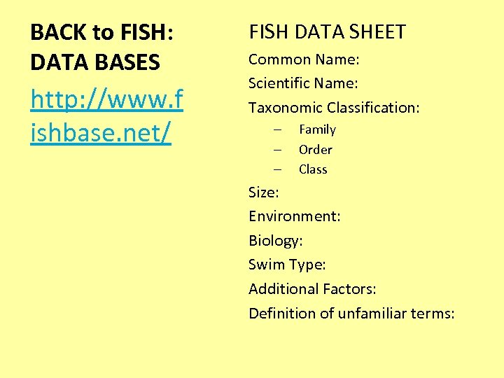 BACK to FISH: DATA BASES http: //www. f ishbase. net/ FISH DATA SHEET Common
