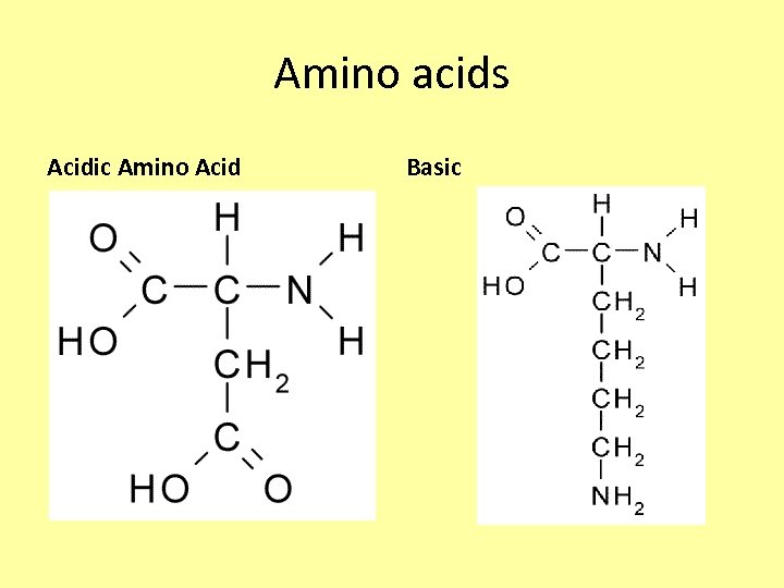 Amino acids Acidic Amino Acid Basic 
