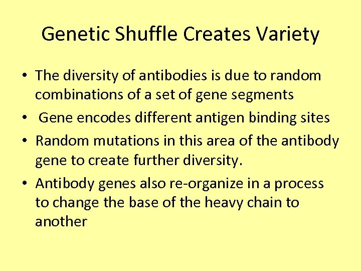 Genetic Shuffle Creates Variety • The diversity of antibodies is due to random combinations