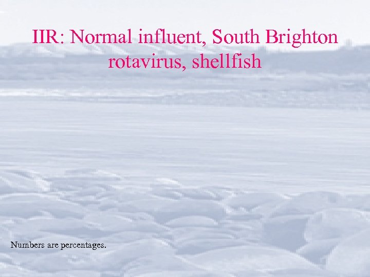 IIR: Normal influent, South Brighton rotavirus, shellfish Numbers are percentages. 