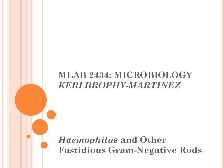 MLAB 2434: MICROBIOLOGY KERI BROPHY-MARTINEZ Haemophilus and Other Fastidious Gram-Negative Rods 