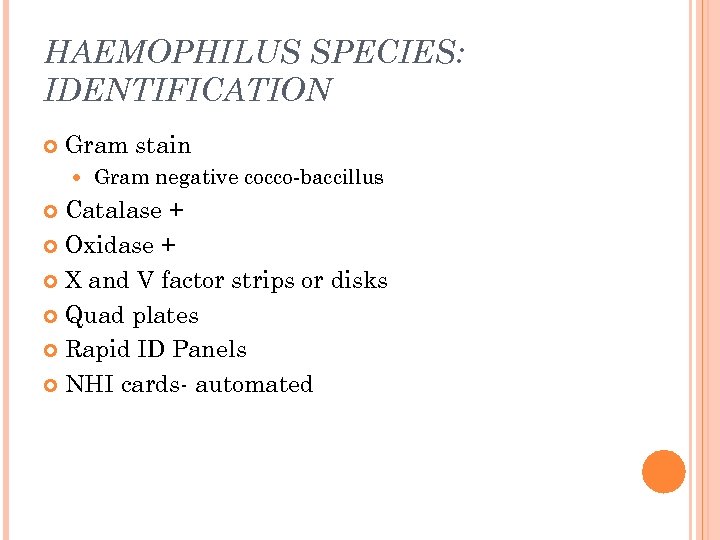 HAEMOPHILUS SPECIES: IDENTIFICATION Gram stain Gram negative cocco-baccillus Catalase + Oxidase + X and