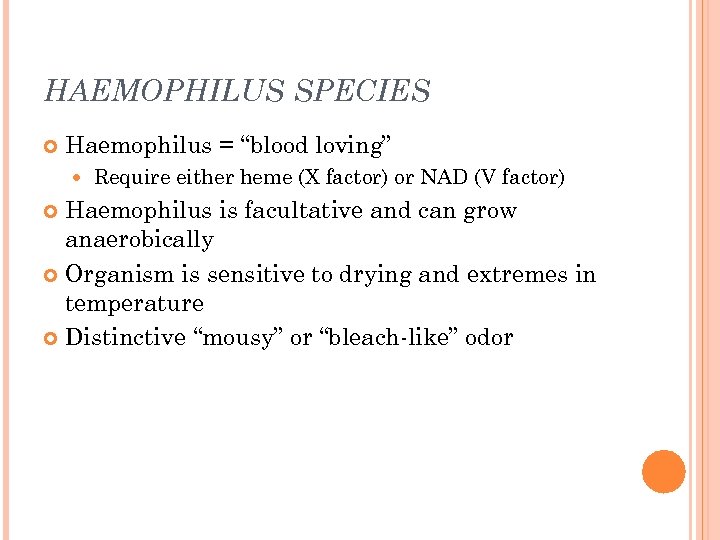 HAEMOPHILUS SPECIES Haemophilus = “blood loving” Require either heme (X factor) or NAD (V