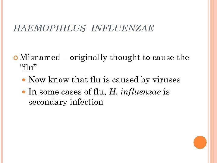 HAEMOPHILUS INFLUENZAE Misnamed – originally thought to cause the “flu” Now know that flu