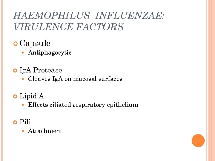 HAEMOPHILUS INFLUENZAE: VIRULENCE FACTORS Capsule Antiphagocytic Ig. A Protease Lipid A Cleaves Ig. A