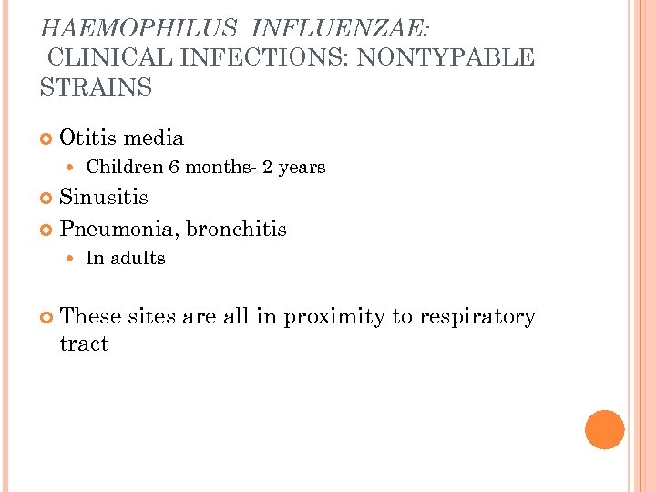 HAEMOPHILUS INFLUENZAE: CLINICAL INFECTIONS: NONTYPABLE STRAINS Otitis media Children 6 months- 2 years Sinusitis
