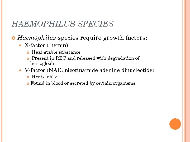 HAEMOPHILUS SPECIES Haemophilus species require growth factors: X-factor ( hemin) Heat-stable substance Present in