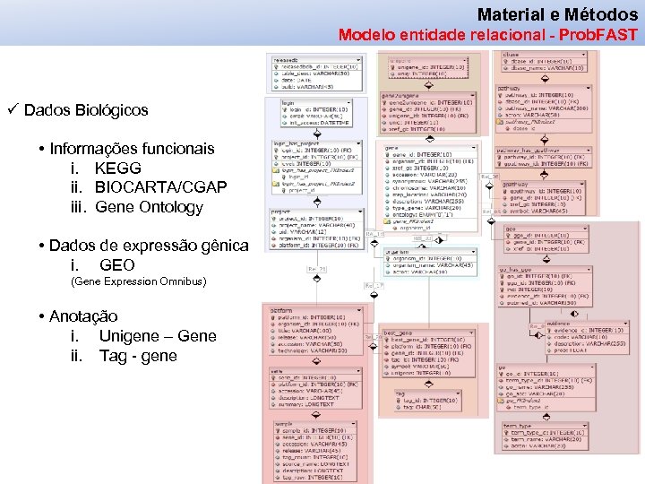 Material e Métodos Modelo entidade relacional - Prob. FAST ü Dados Biológicos • Informações