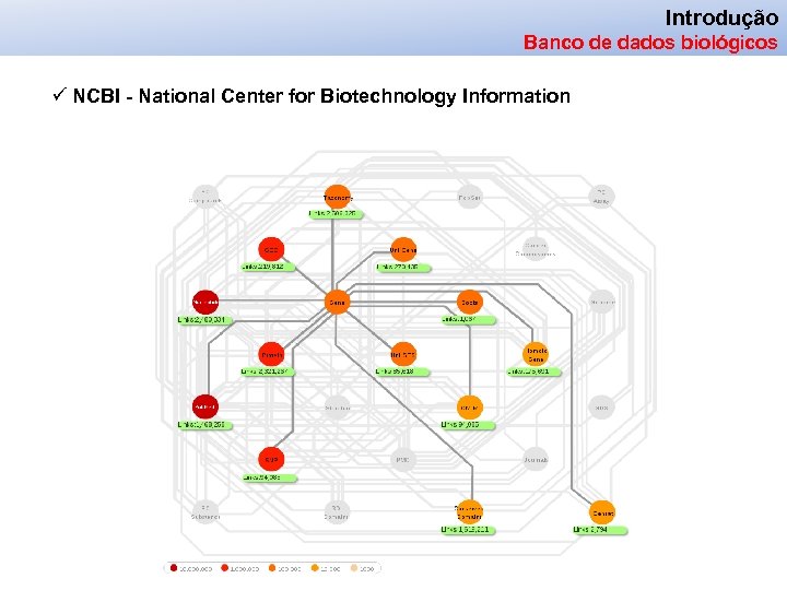 Introdução Banco de dados biológicos ü NCBI - National Center for Biotechnology Information 