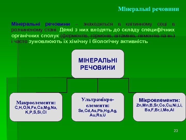 Мінеральні речовини – знаходяться в клітинному соці в розчиненому стані. Деякі з них входять