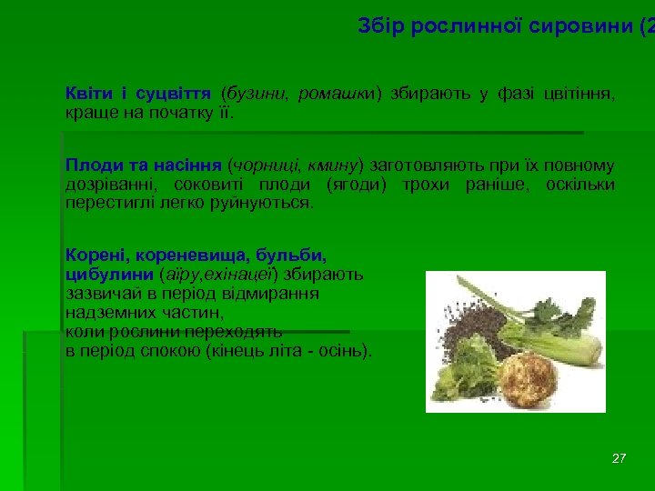 Збір рослинної сировини (2 Квіти і суцвіття (бузини, ромашки) збирають у фазі цвітіння, краще