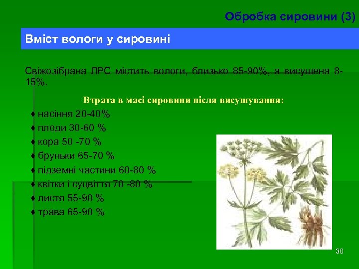 Обробка сировини (3) Вміст вологи у сировині Свіжозібрана ЛРС містить вологи, близько 85 -90%,