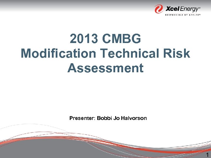 2013 CMBG Modification Technical Risk Assessment Presenter: Bobbi Jo Halvorson 1 