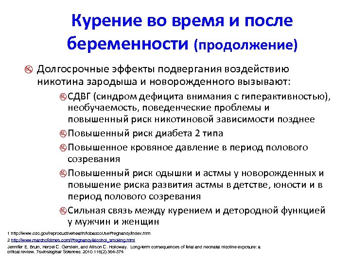 Курение во время и после беременности (продолжение) z Долгосрочные эффекты подвергания воздействию никотина зародыша