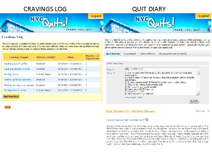 CRAVINGS LOG QUIT DIARY 
