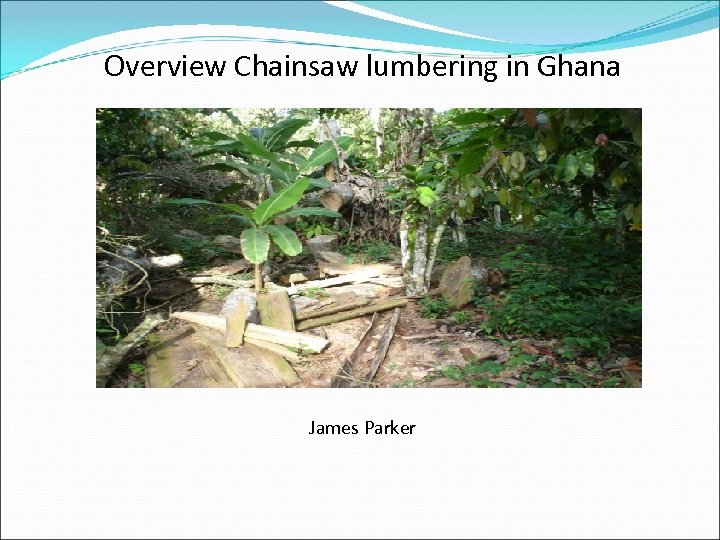 Overview Chainsaw lumbering in Ghana by James Parker 