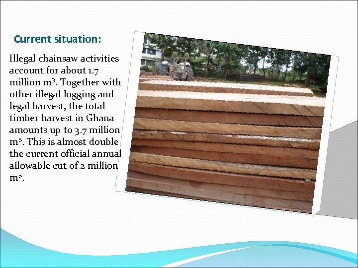 Current situation: Illegal chainsaw activities account for about 1. 7 million m³. Together with