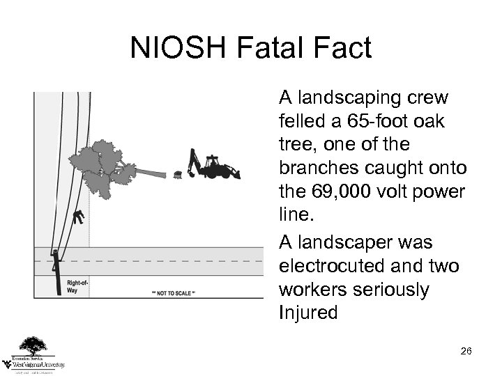 NIOSH Fatal Fact A landscaping crew felled a 65 -foot oak tree, one of
