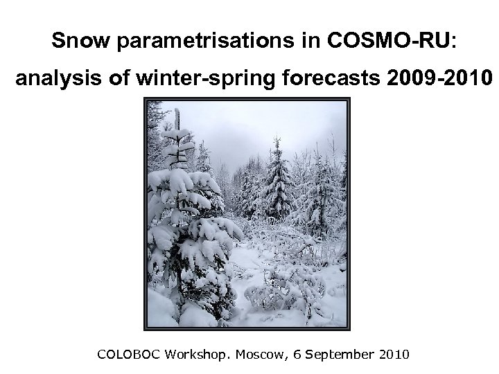 Snow parametrisations in COSMO-RU: analysis of winter-spring forecasts 2009 -2010 COLOBOC Workshop. Moscow, 6