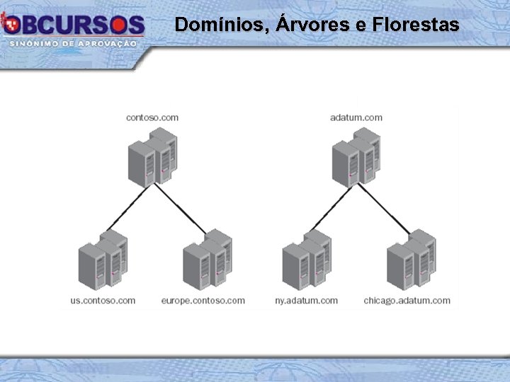 Domínios, Árvores e Florestas 