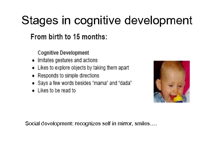 Stages in cognitive development Social development: recognizes self in mirror, smiles…. 