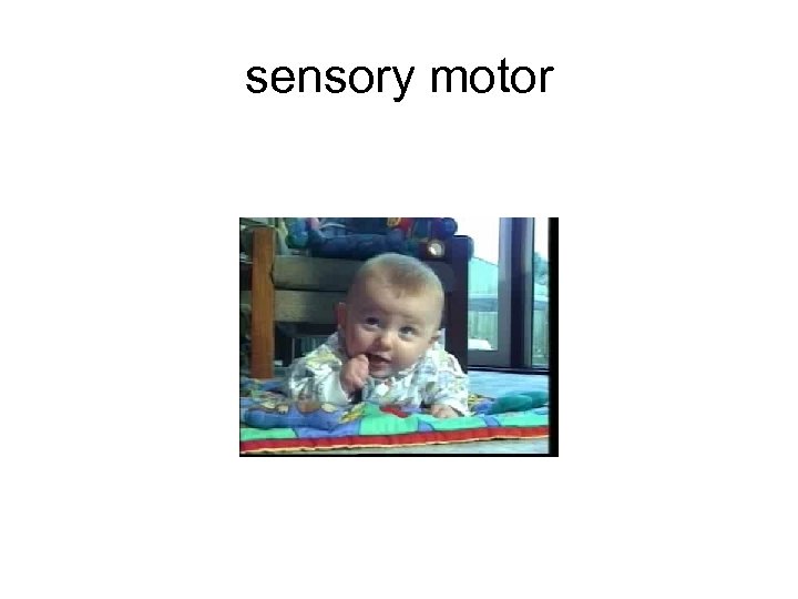 sensory motor 