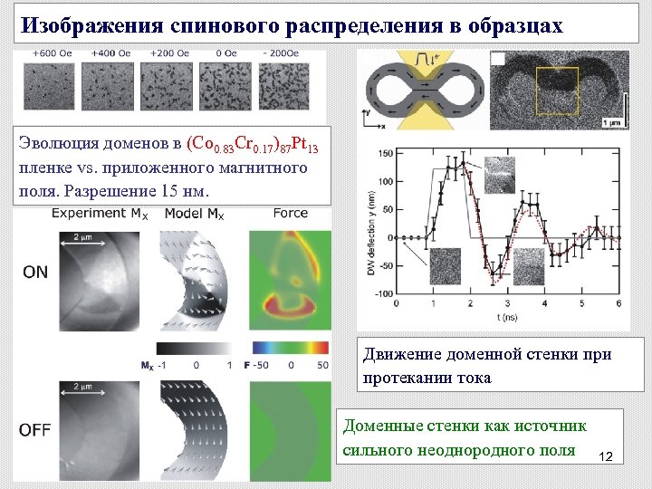 Изображения спинового распределения в образцах Эволюция доменов в (Co 0. 83 Cr 0. 17)87