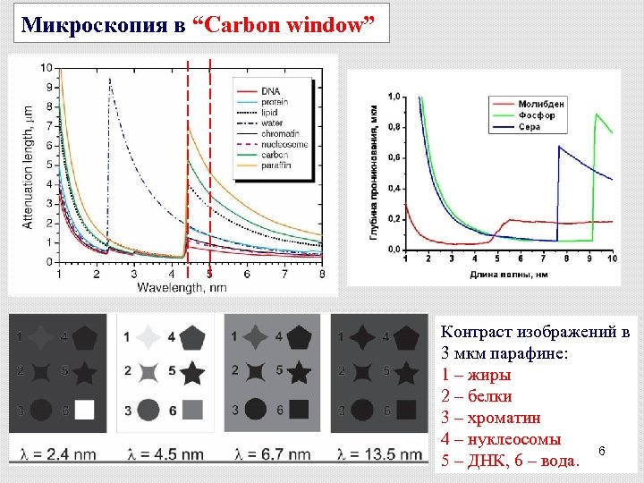 Микроскопия в “Carbon window” Контраст изображений в 3 мкм парафине: 1 – жиры 2