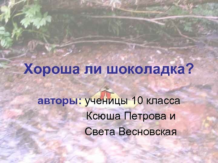 Хороша ли шоколадка? авторы: ученицы 10 класса Ксюша Петрова и Света Весновская 