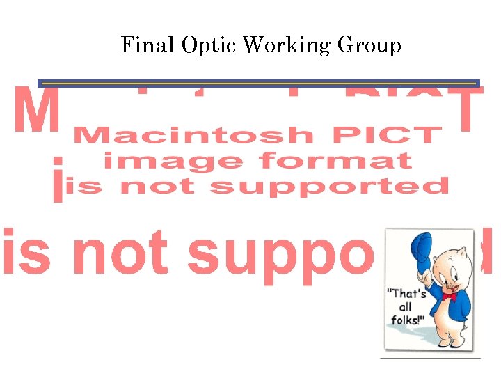 Final Optic Working Group 