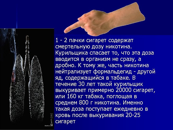 n 1 - 2 пачки сигарет содержат смертельную дозу никотина. Курильщика спасает то, что
