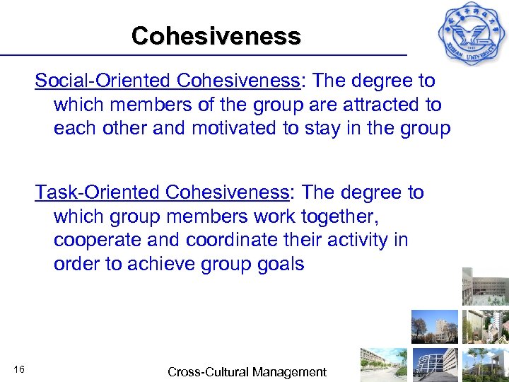 Cohesiveness Social Oriented Cohesiveness: The degree to which members of the group are attracted