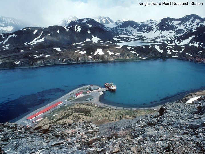 King Edward Point Research Station 