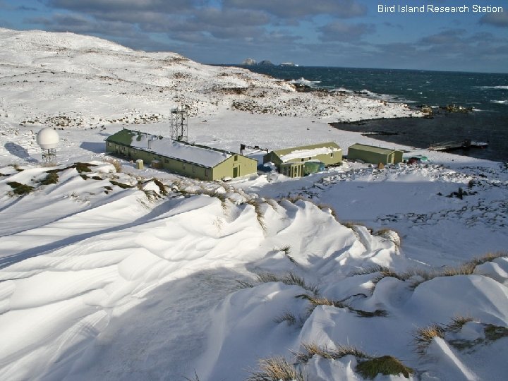 Bird Island Research Station 