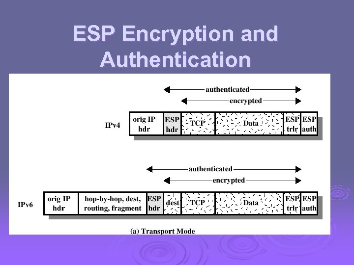 ESP Encryption and Authentication 