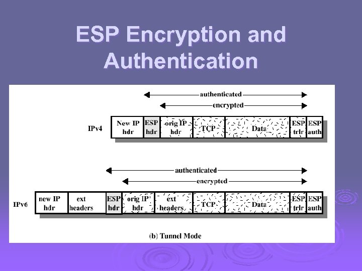 ESP Encryption and Authentication 