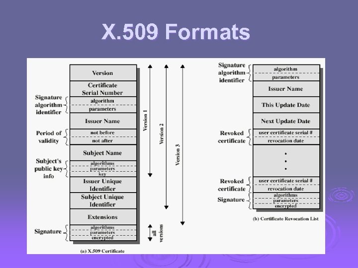 X. 509 Formats 