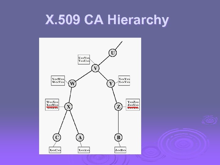 X. 509 CA Hierarchy 