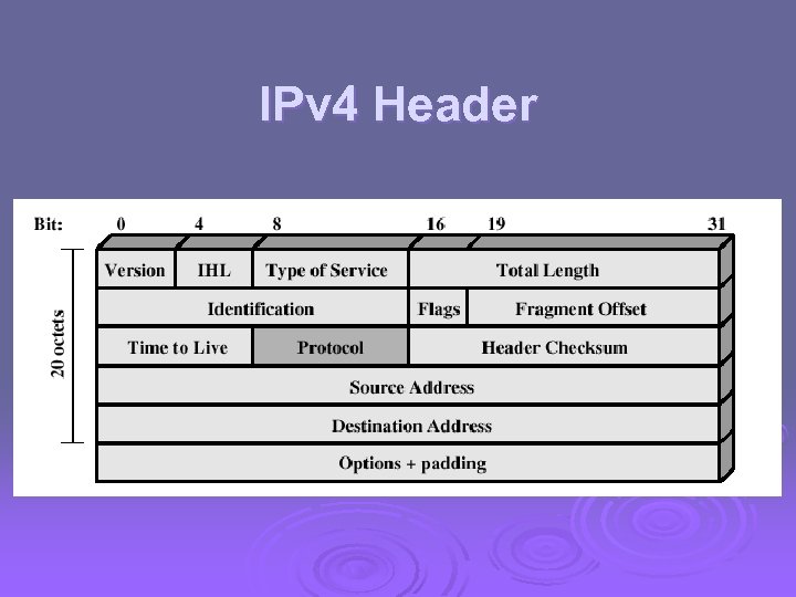 IPv 4 Header 